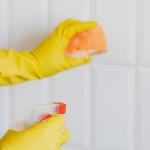 Pleśń w mieszkaniu – co robić? Skuteczne sposoby usuwania i zapobiegania