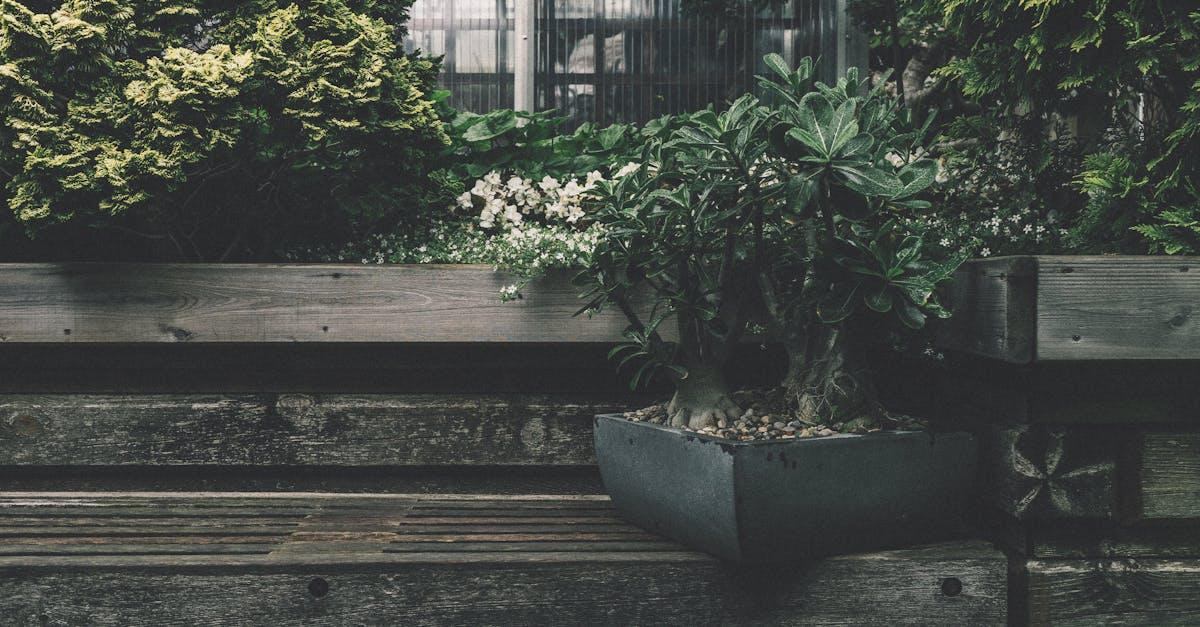 Jak zabezpieczyć drewno ogrodowe przed wilgocią? Skuteczne metody i preparaty krok po kroku