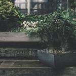 Jak zabezpieczyć drewno ogrodowe przed wilgocią? Skuteczne metody i preparaty krok po kroku