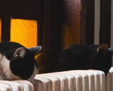 Czy opłaca się wymiana starych grzejników na niskotemperaturowe? Koszty, oszczędności i efektywność w praktyce